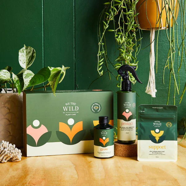 Essentials Plant Care Gift Set