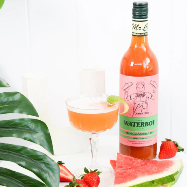 Mr Consistent Watermelon Margarita Mixer (Waterboy)