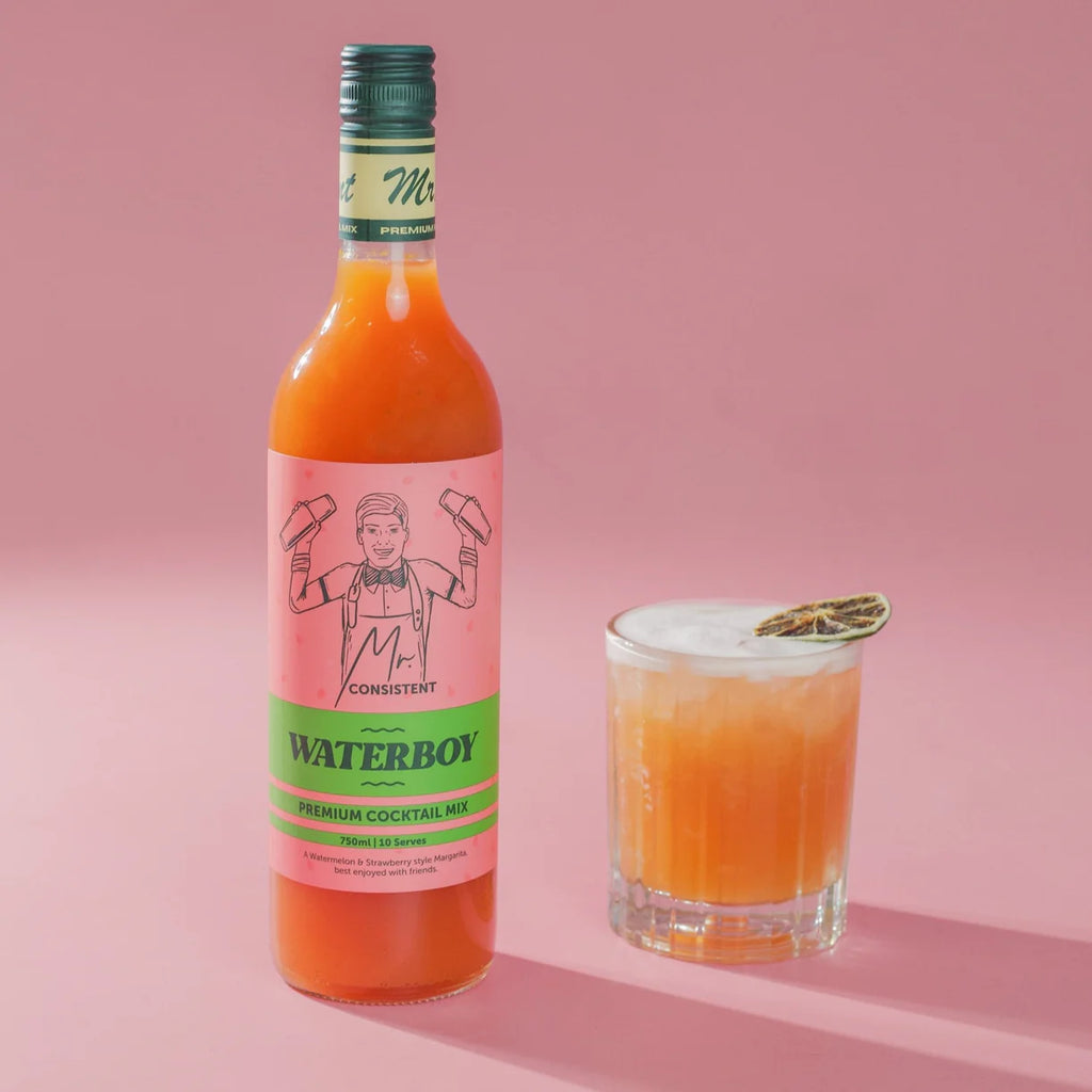 Mr Consistent Watermelon Margarita Mixer (Waterboy)