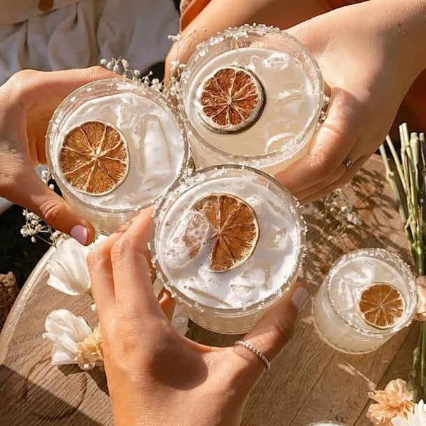 Mr Consistent Margarita Mixer