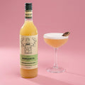 Mr Consistent Margarita Mixer